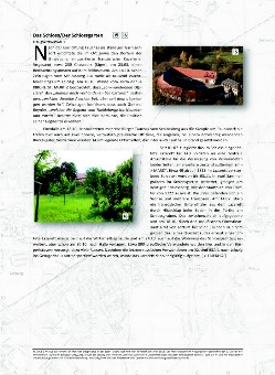 15 16 - Das Schloss - Der Schlossgarten