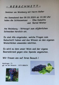 Rebschnitt 09.03.2024