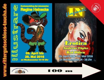 2016 - Plane HEINECKE/TÜPKE